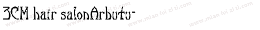 3CM hair salonArbutu字体转换